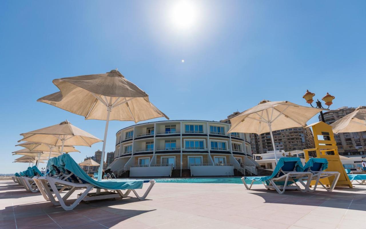 Sunrise Alex Avenue Hotel Aleksandria Zewnętrze zdjęcie The hotel's pool